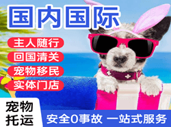 哈尔滨太平机场托运国际宠物托运 【国